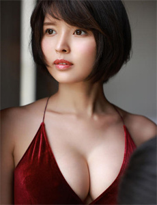《芝加哥匪帮》