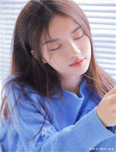 《蜂蜜与四叶草动漫》
