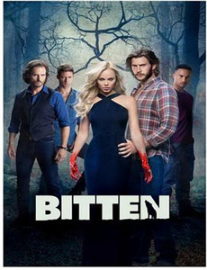 梅森探案集 第二季