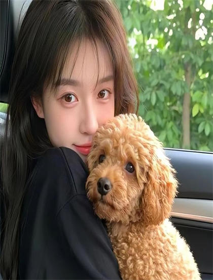 浪漫骑士请放手隐藏彩蛋发现指南开创性的：细节与彩蛋寻找攻略